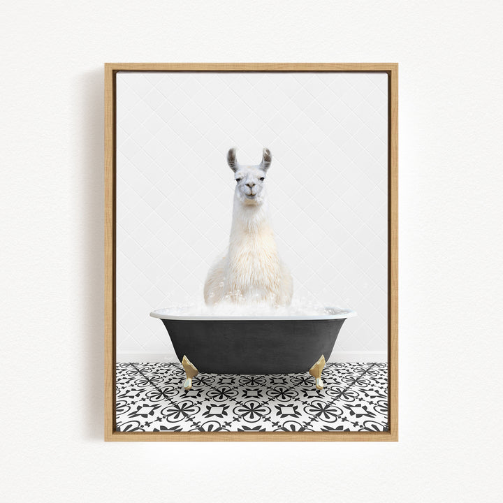 A white llama sitting in a black bathtub filled with water, surrounded by a black and white patterned floor.