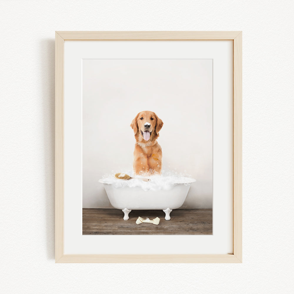 A golden retriever dog sitting in a white bathtub filled with bubbles, with a bone on the floor.