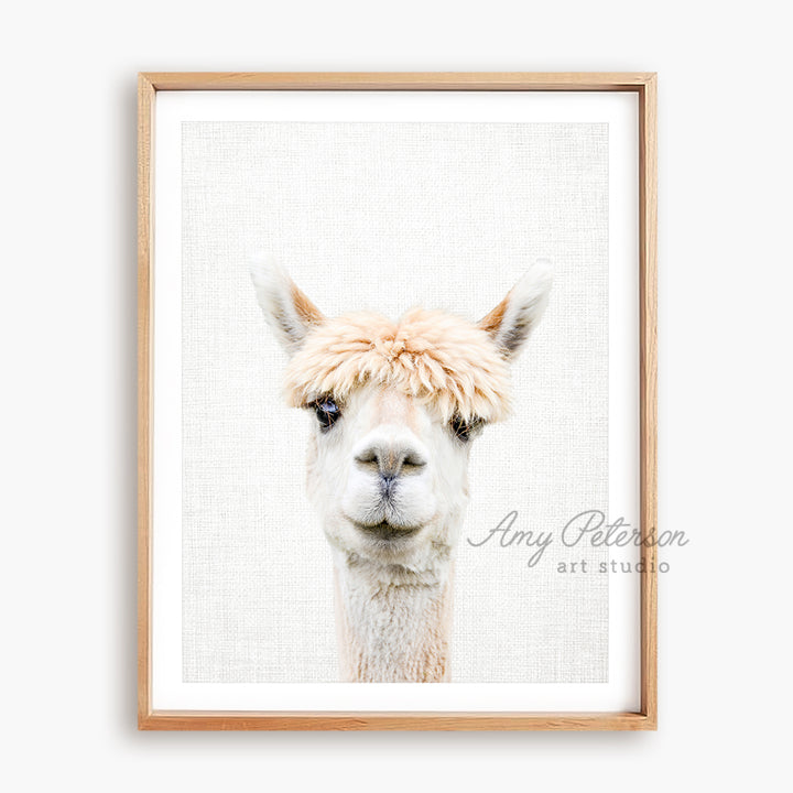 a picture of a llama in a frame