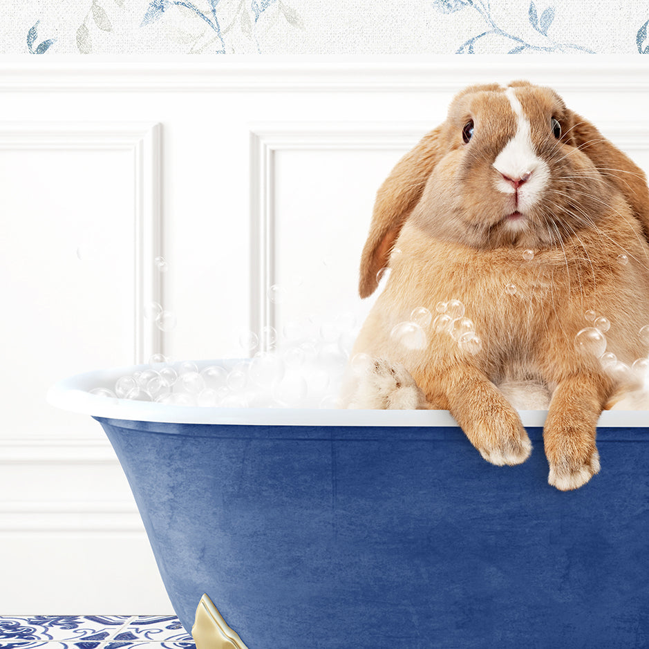 a rabbit sitting in a bathtub with bubbles