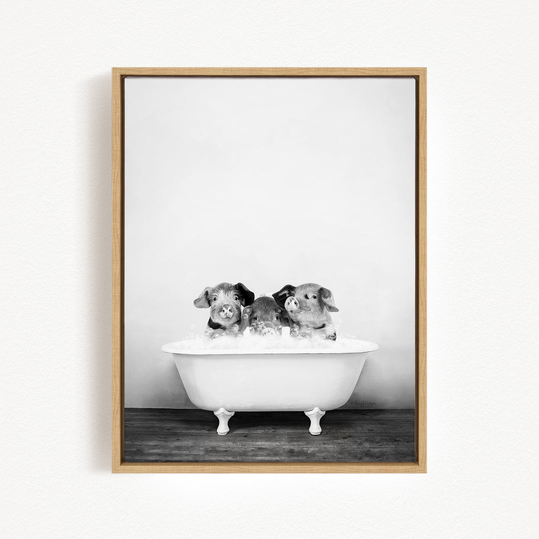 A black and white photograph of three small dogs sitting in a white bathtub.