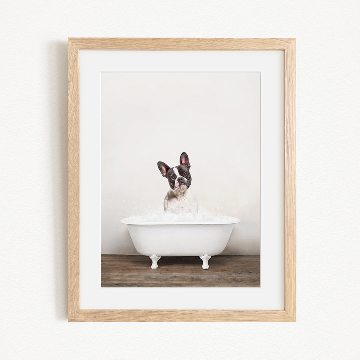 A dog is sitting in a white bathtub filled with water, looking directly at the camera with a playful expression.