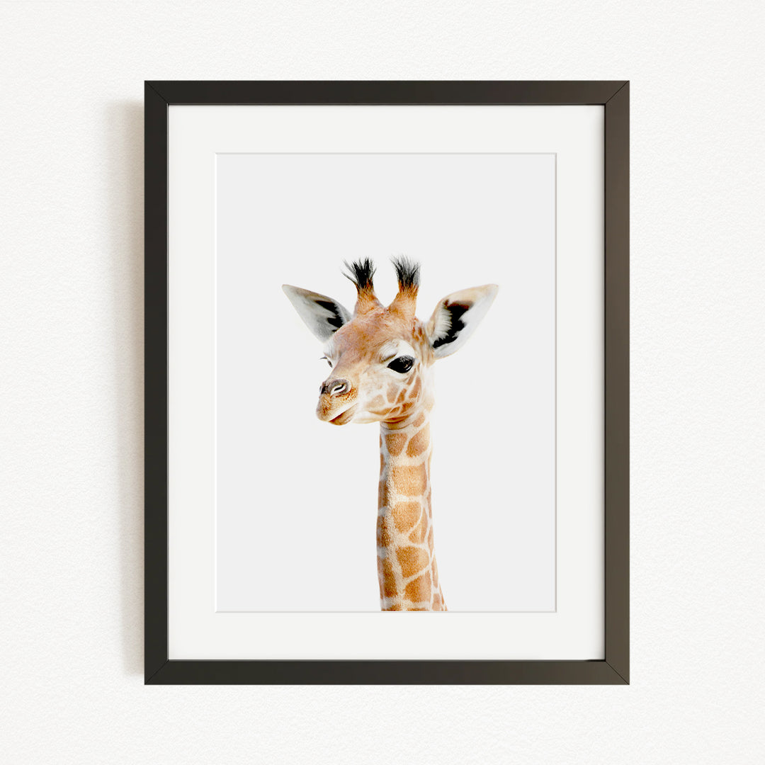 A framed photograph of a giraffe's head, with its distinctive long neck and spotted coat, is displayed on a white wall.