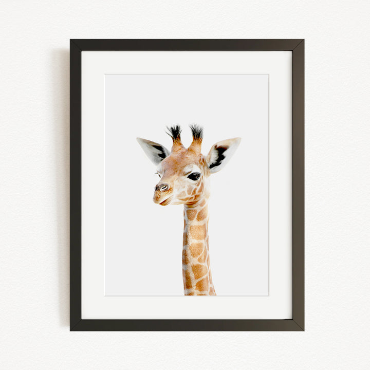 A framed photograph of a giraffe's head, with its distinctive long neck and spotted coat, is displayed on a white wall.