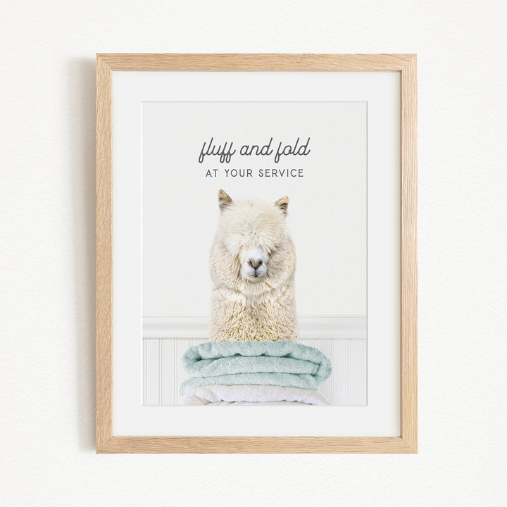 A framed image of a fluffy white alpaca sitting on a stack of light blue towels, with the text "fluff and fold at your service" written above the image.