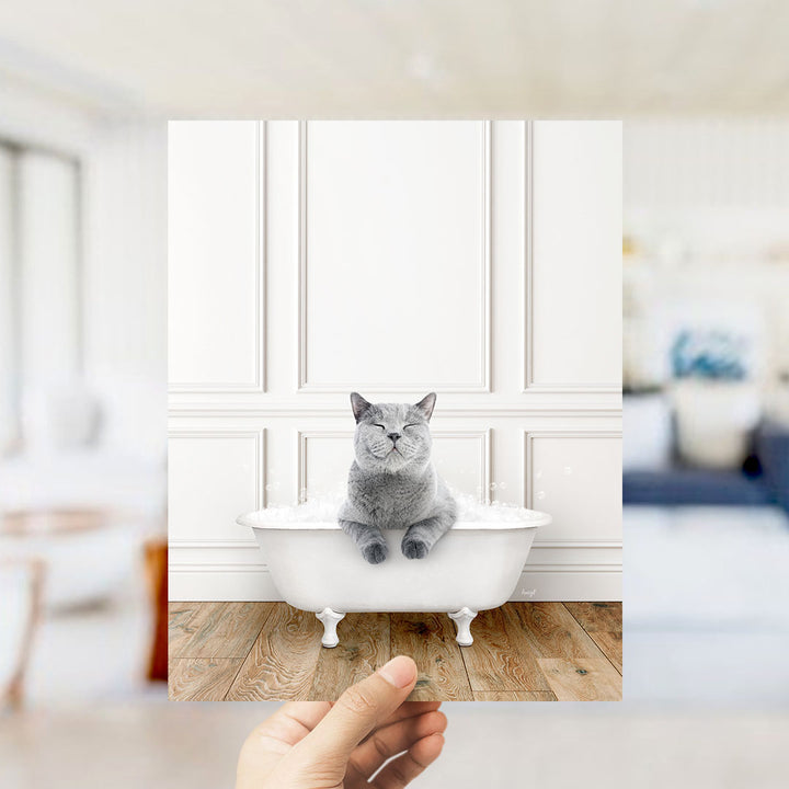 A gray cat sitting in a white bathtub, with a hand holding the photo up to the camera.