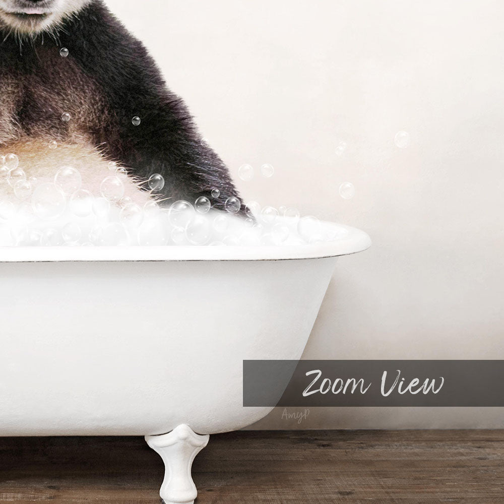 A close-up of a cat's paw in a white bathtub filled with bubbles, with the text "Zoom View" overlaid on the image.