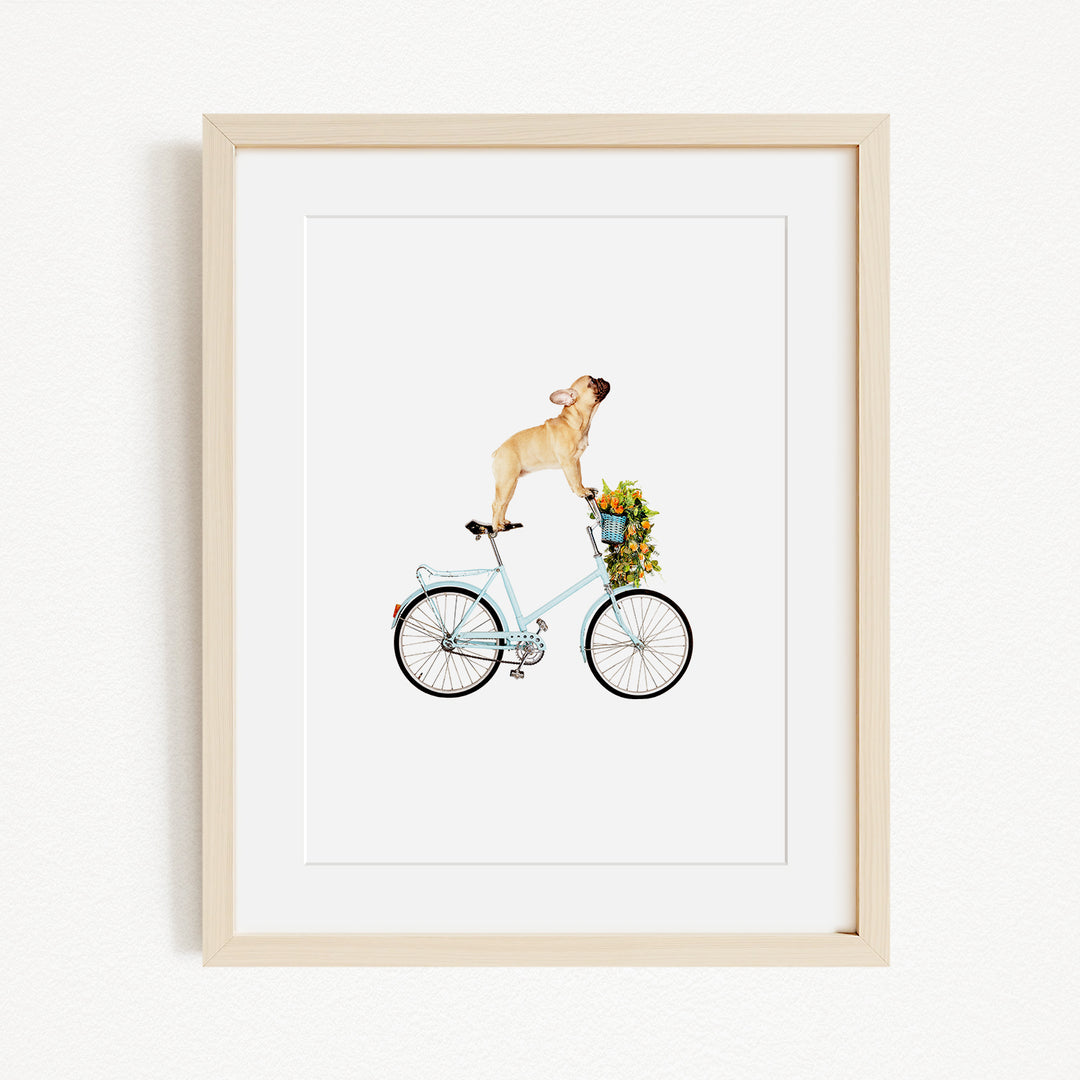 A dog is riding a bicycle with a basket of flowers on the back.