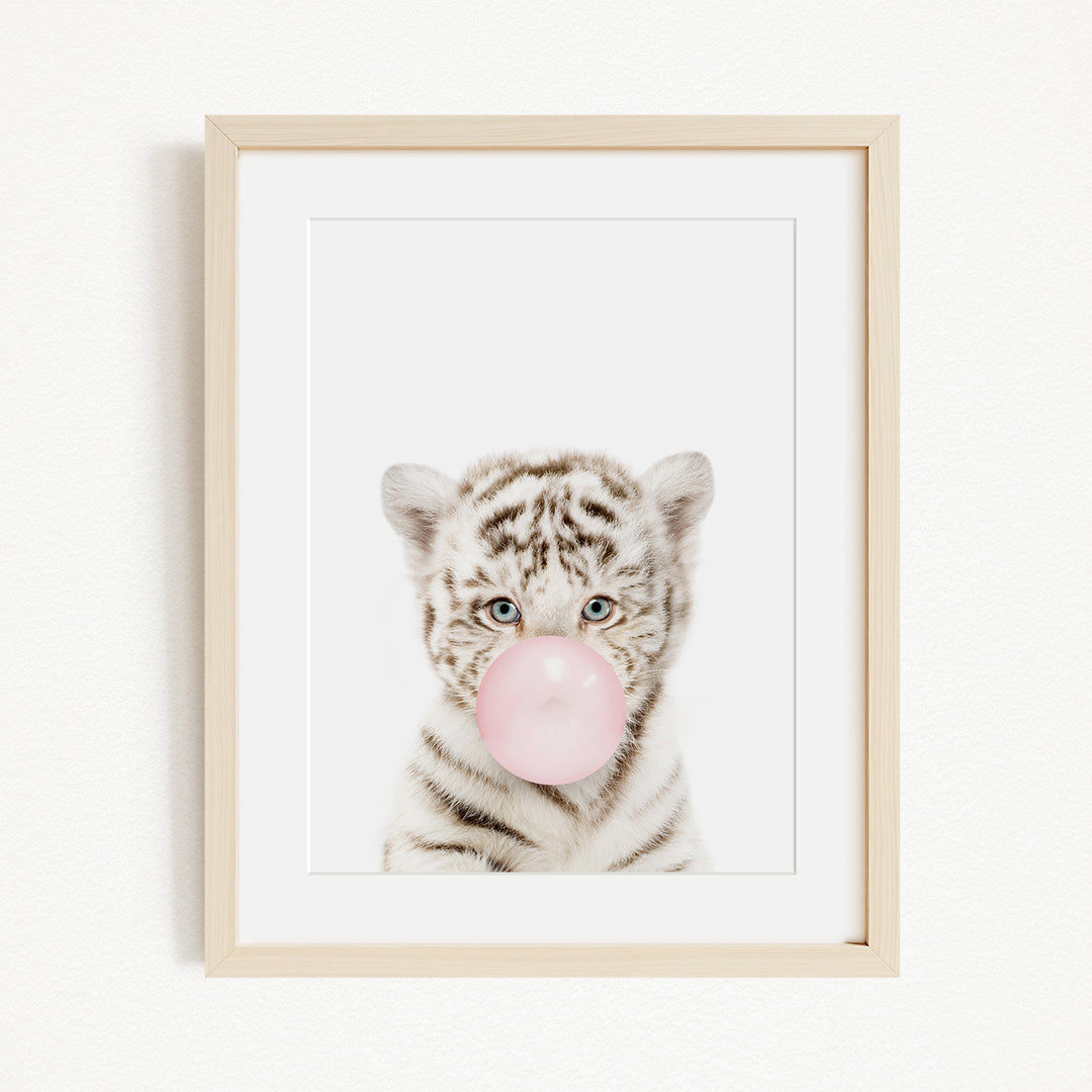 A young tiger cub blowing a bubble with a pink bubble gum bubble.