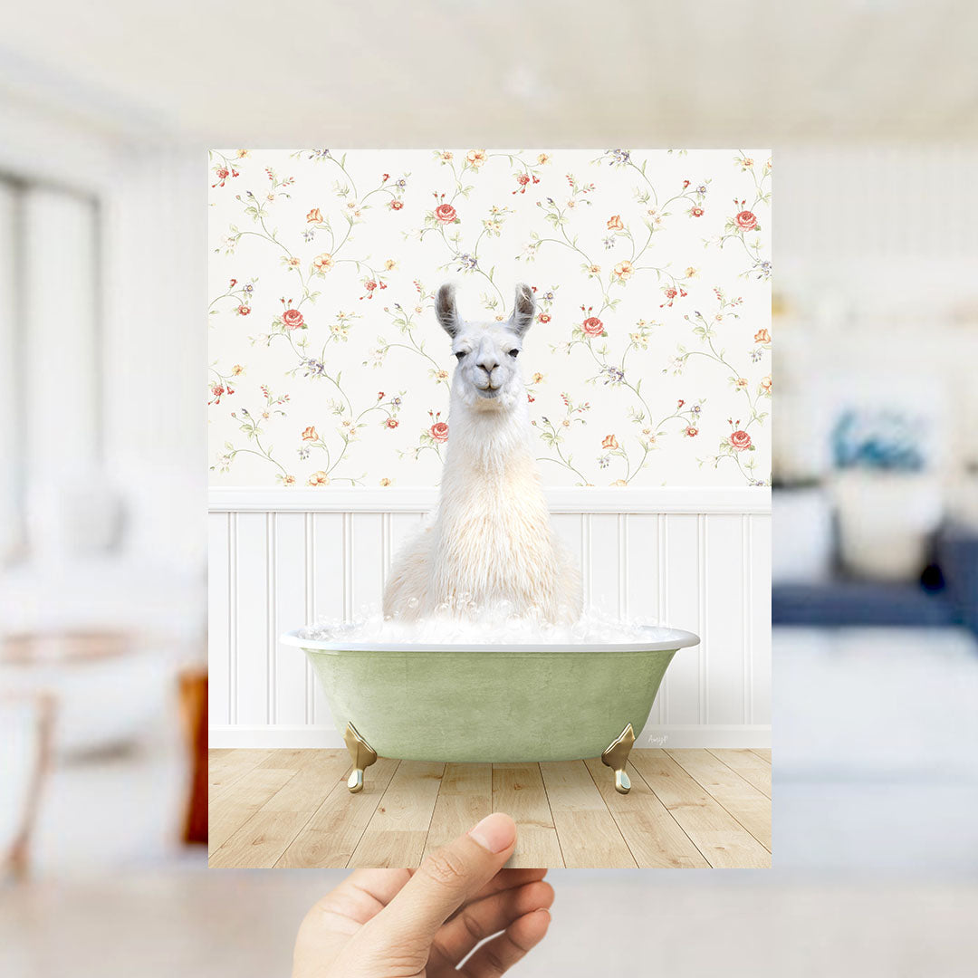 A white llama sitting in a green bathtub filled with bubbles, with a floral wallpaper in the background.