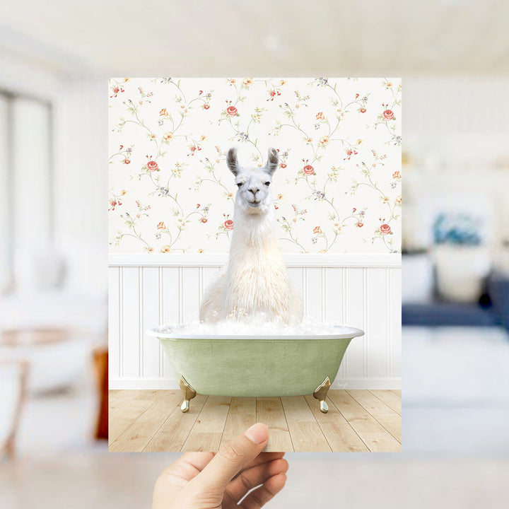 A white llama sitting in a green bathtub filled with bubbles, with a floral wallpaper in the background.