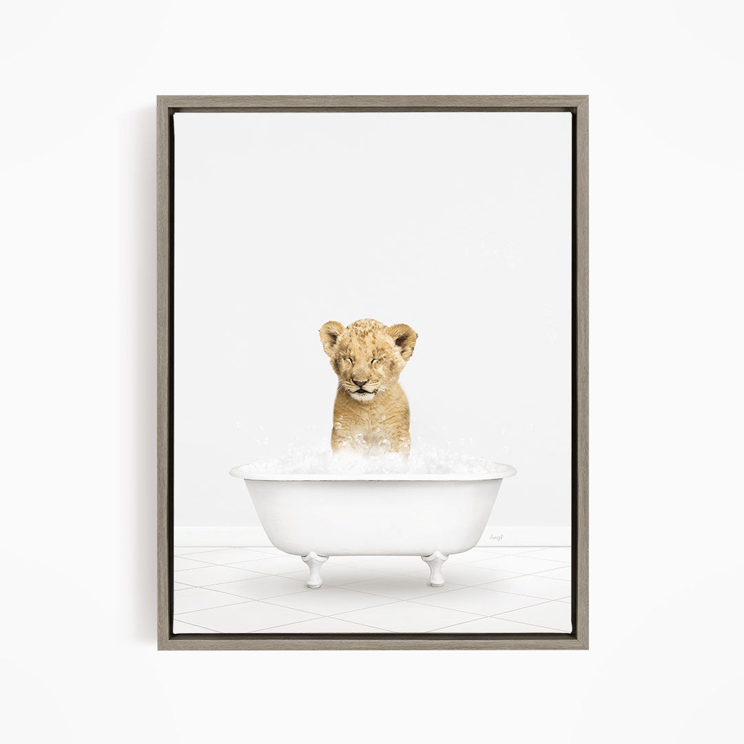 A young lion cub sitting in a white bathtub filled with water, looking up at the camera.