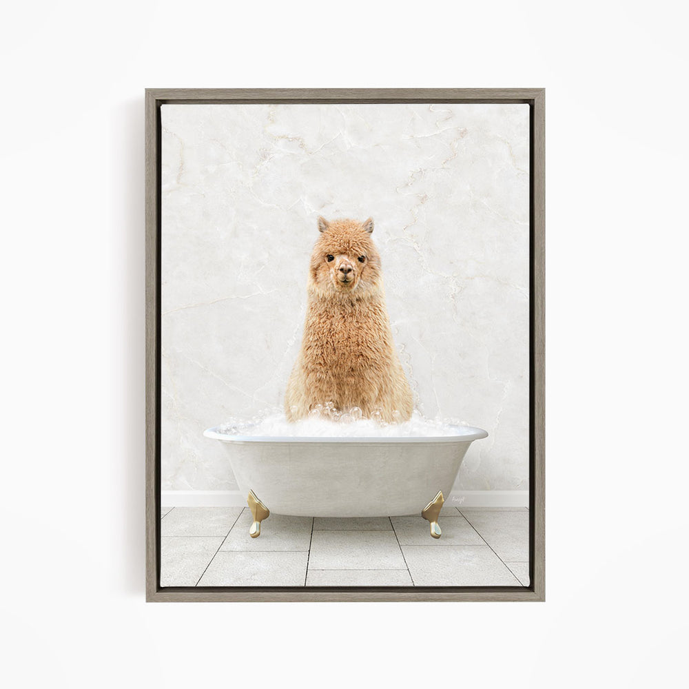 A fluffy brown alpaca sitting in a white bathtub filled with bubbles, looking directly at the camera.