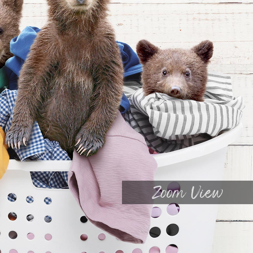 A close-up image of a bear sitting in a laundry basket filled with clothes, with a baby bear peeking out from the clothes.