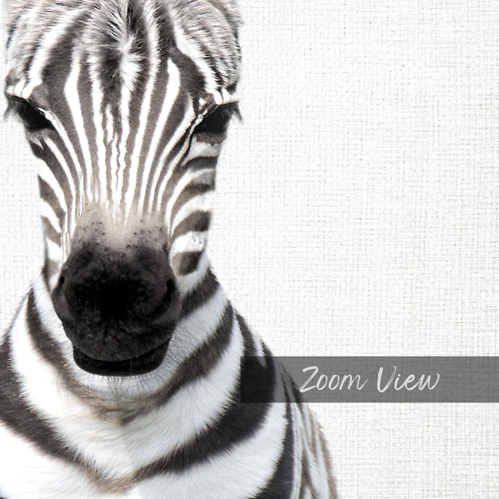 A close-up of a zebra's face, with its distinctive black and white striped pattern clearly visible.