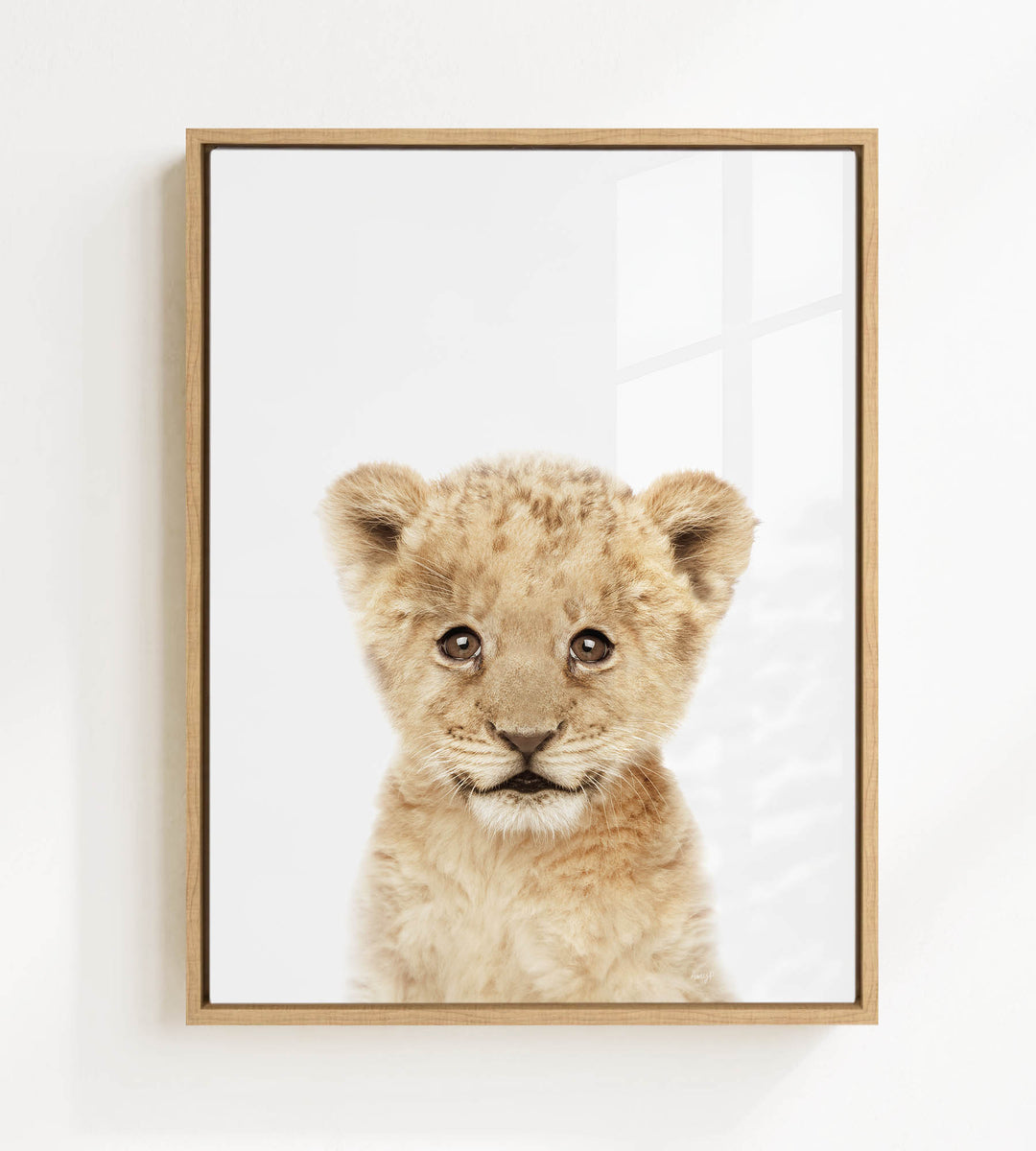 A young lion cub with large, expressive eyes and a curious expression is the focus of the framed image.