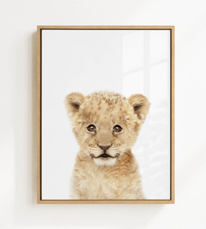 A young lion cub with large, expressive eyes and a curious expression is the focus of the framed image.