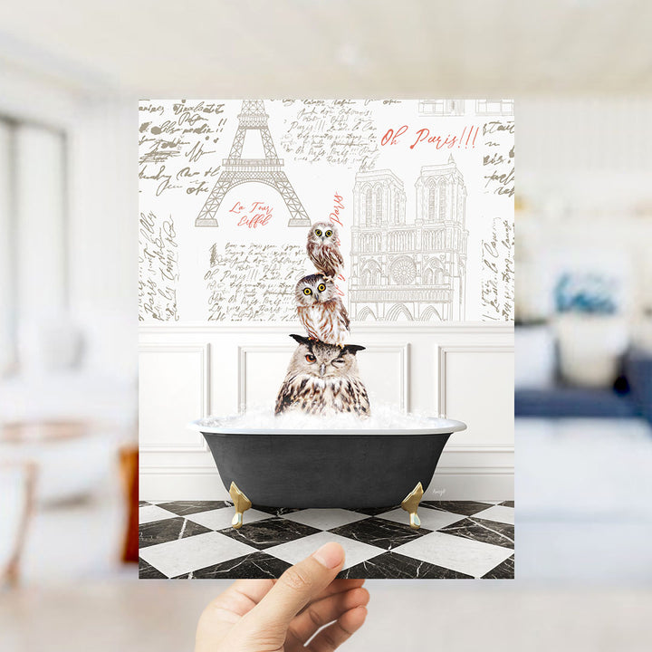 A hand holds up a framed image depicting three owls sitting in a bathtub, with the Eiffel Tower and Notre-Dame Cathedral visible in the background.