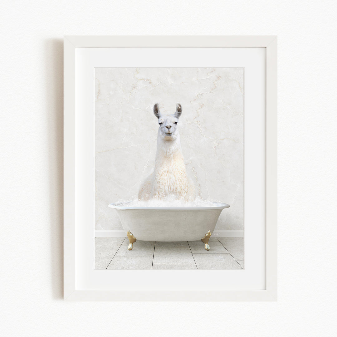 A white llama sitting in a white bathtub filled with bubbles, creating a whimsical and playful scene.