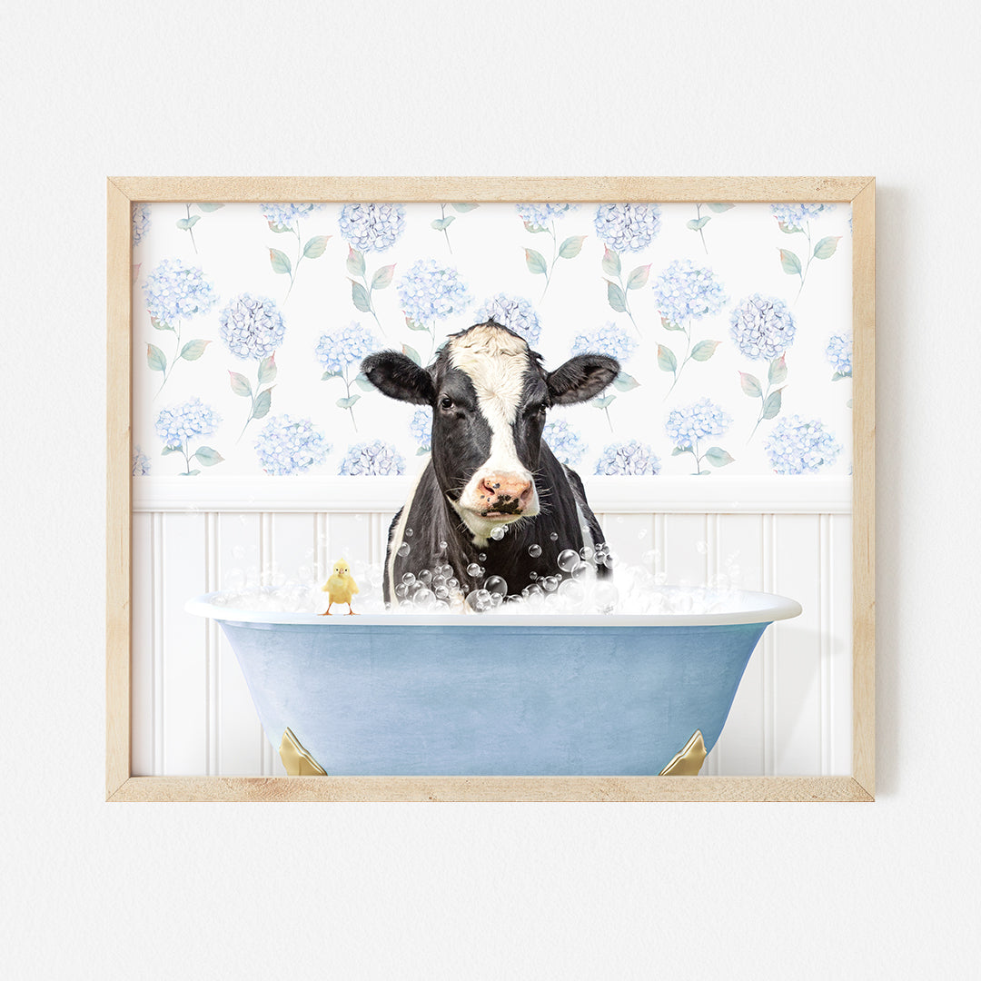 a black and white cow sitting in a blue bath tub