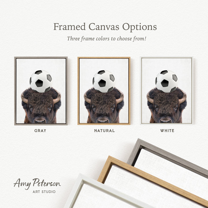three framed canvas options featuring a bison with a soccer ball on its head, each in a different frame color: gray, natural, and white.
