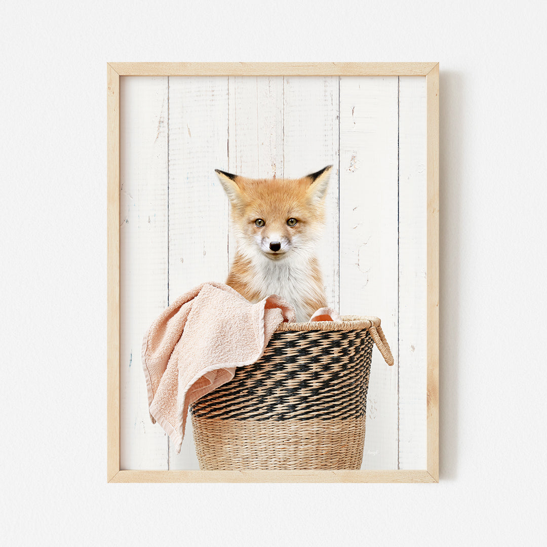 a picture of a fox in a basket