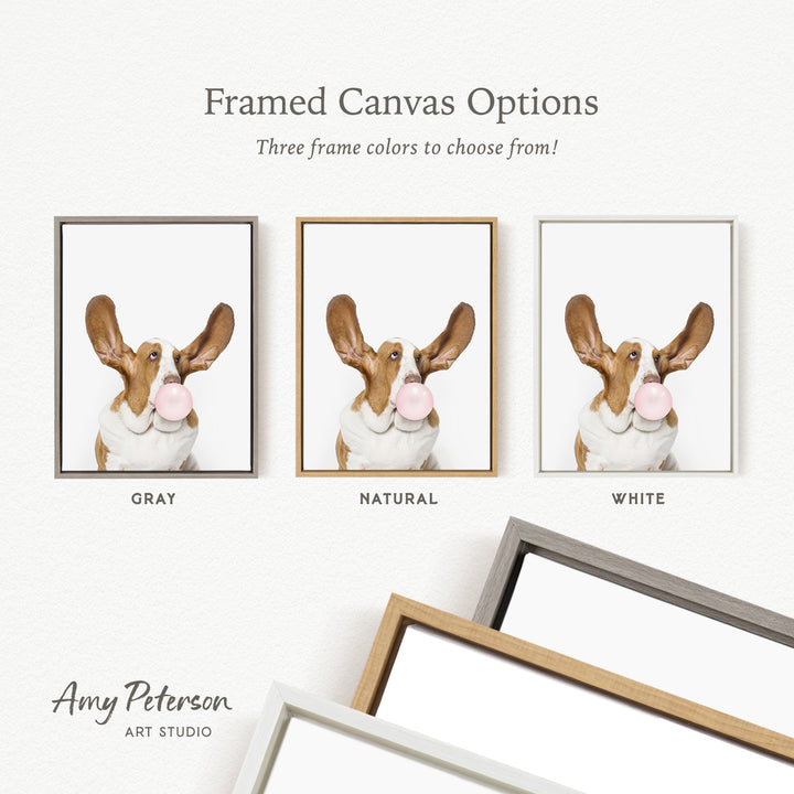 three framed canvas options for a picture of a dog blowing a bubble with a bubble gum bubble. The options include a gray frame, a natural frame, and a white frame.