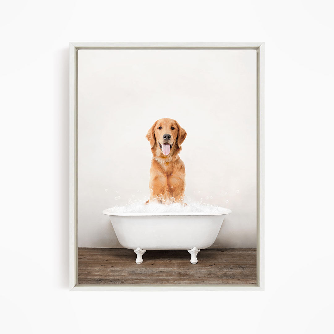 A golden retriever dog sitting in a white bathtub filled with water, appearing to be enjoying a bath.