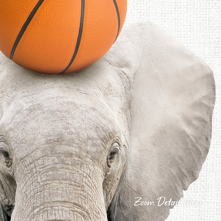 An elephant with a basketball resting on its head.