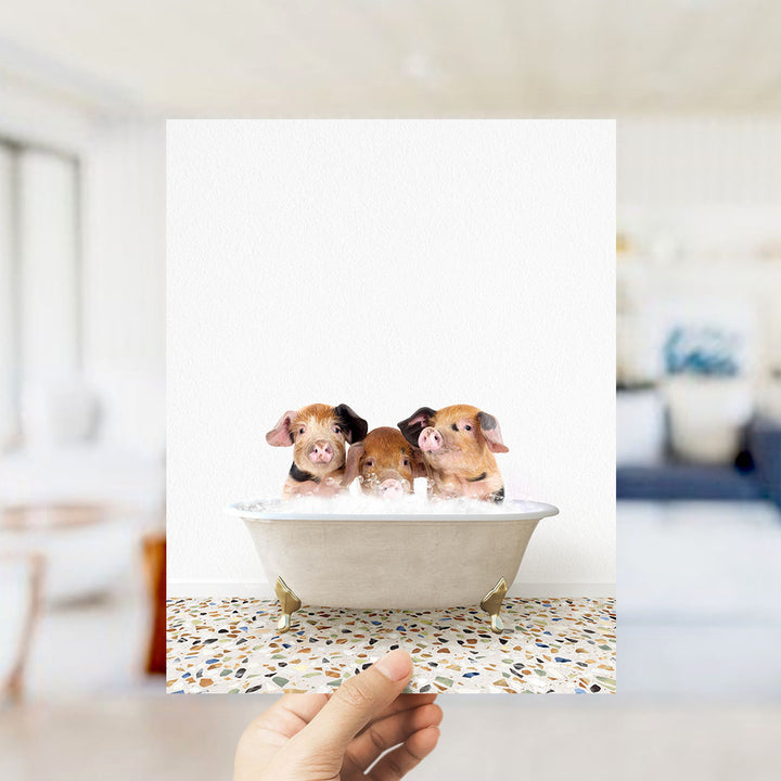 A hand holds up a framed photograph of three adorable pigs sitting in a bathtub, with a blurred background suggesting a bathroom setting.