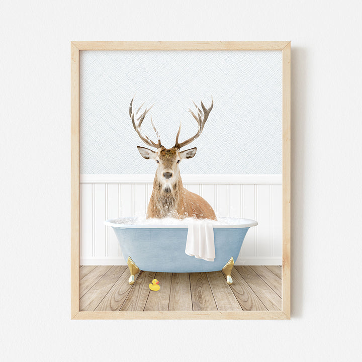 a picture of a deer sitting in a bathtub