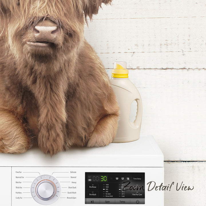 A furry brown dog sitting on top of a washing machine, with a bottle of detergent next to it.