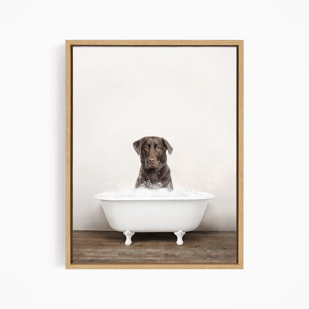 A brown dog sitting in a white bathtub filled with water, looking directly at the camera.