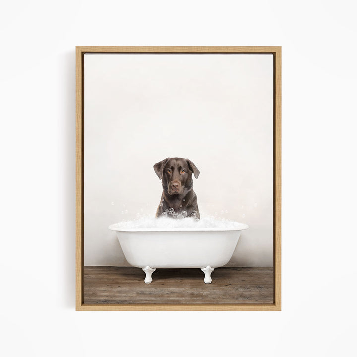 A brown dog sitting in a white bathtub filled with water, looking directly at the camera.