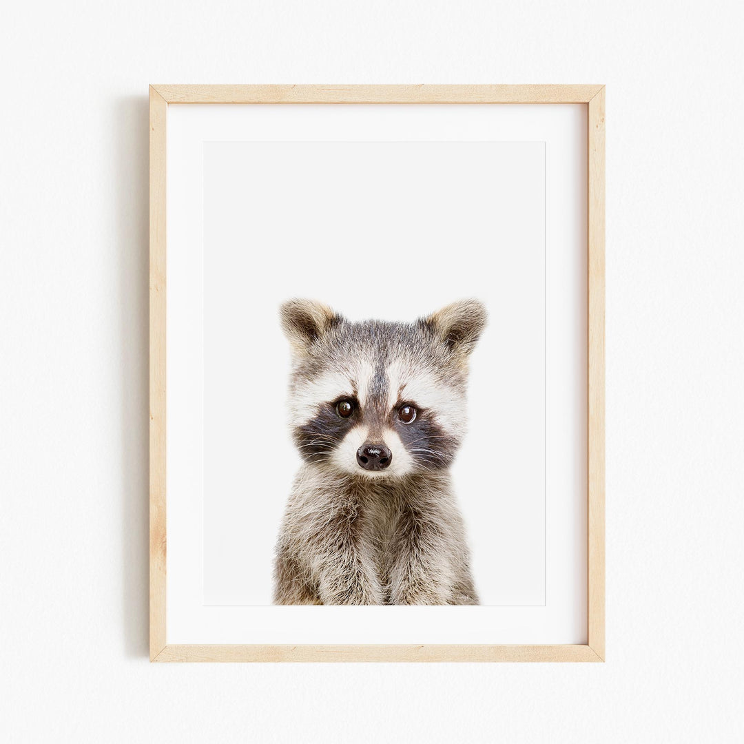 a picture of a raccoon in a wooden frame