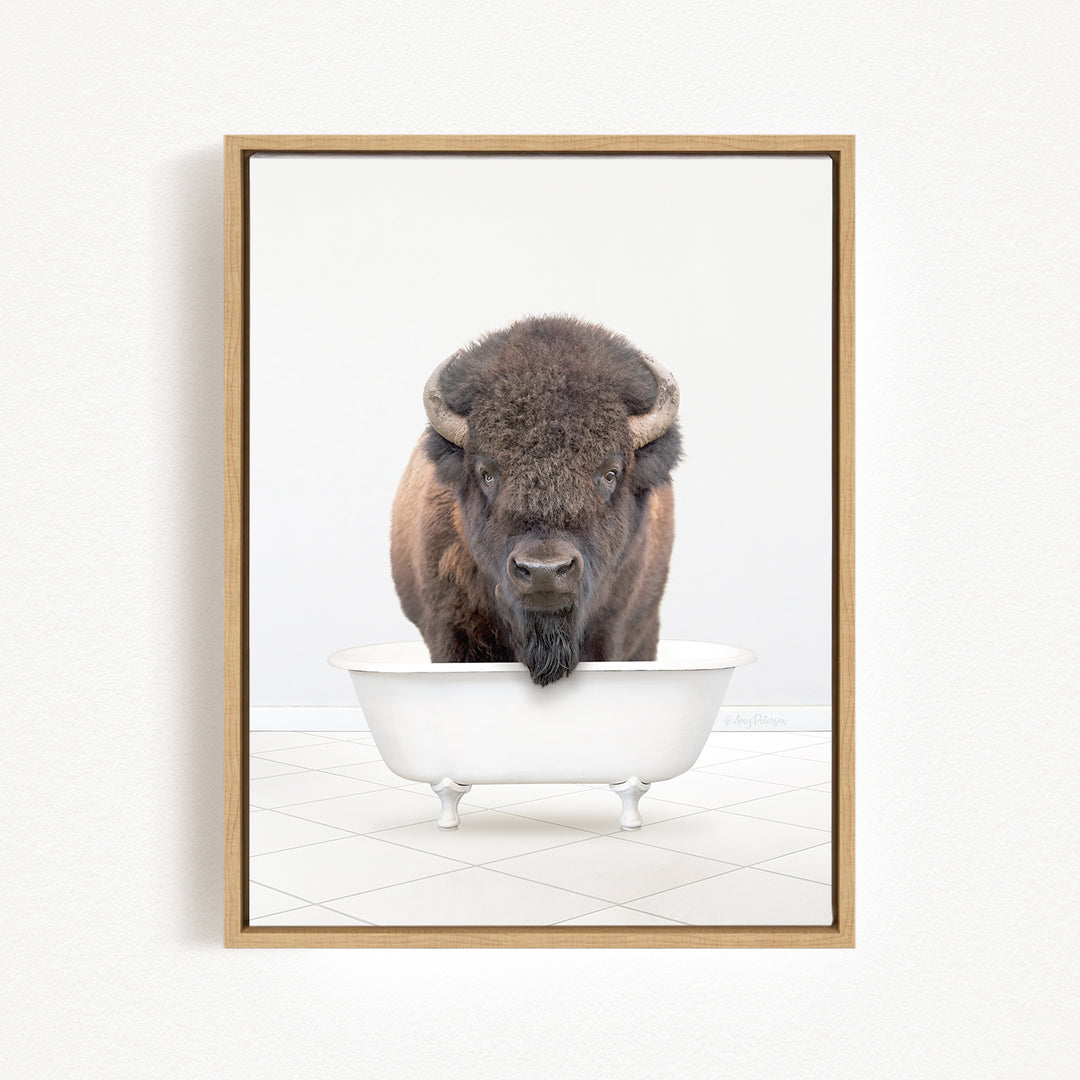 A buffalo with a long, shaggy mane stands in a white bathtub, looking directly at the camera.