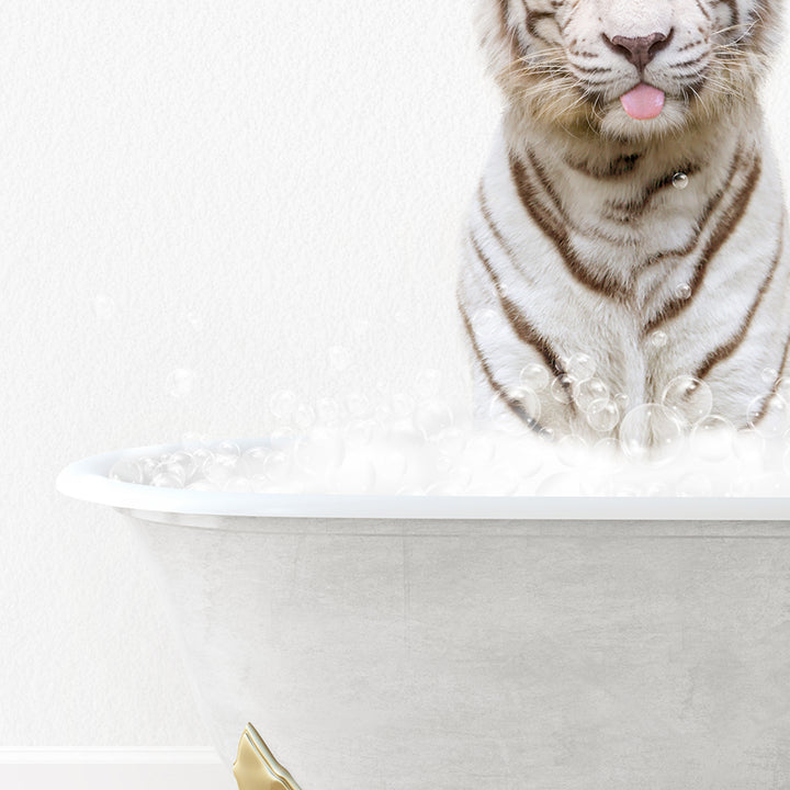 a white tiger sitting in a bathtub filled with bubbles