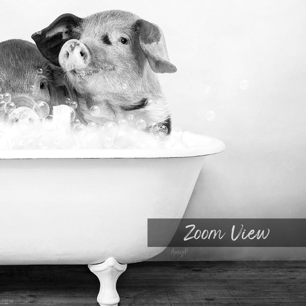 A black and white image of two pigs sitting in a bathtub filled with bubbles, with the text "Zoom View" overlaid on the image.