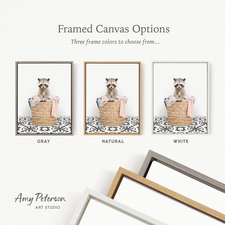 three framed canvas options, each featuring a raccoon sitting in a basket. The options include a gray frame, a natural frame, and a white frame.