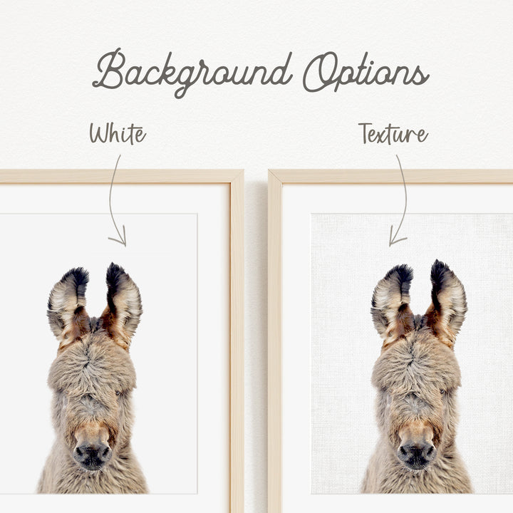 a close-up of a donkey's head, with two framed pictures side by side. The text above the images indicates that there are two different backgrounds available, with one being white and the other being a textured background.