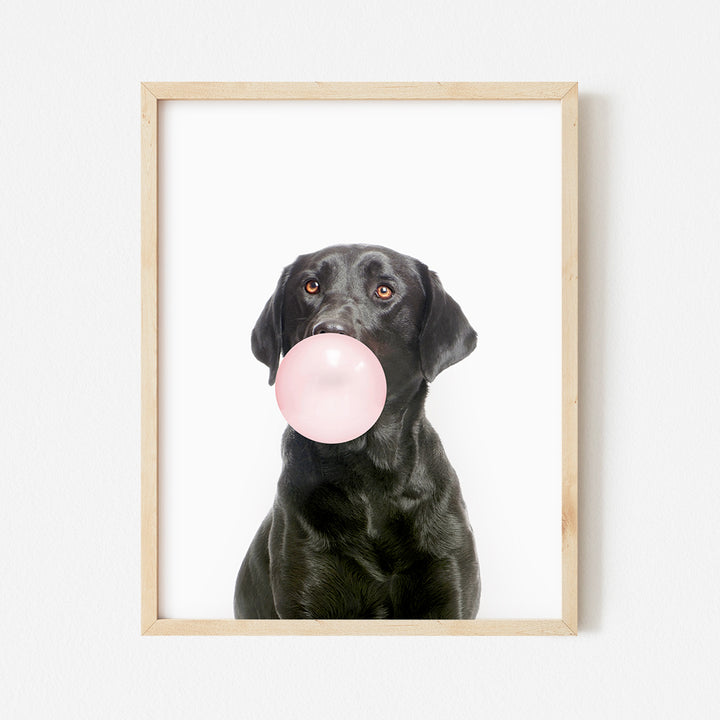 a black dog with a pink bubble in its mouth