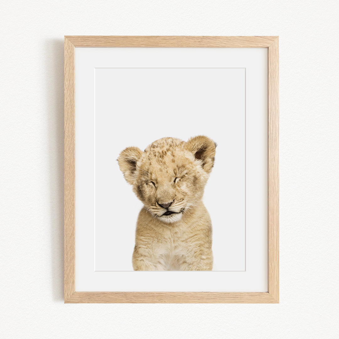 A young lion cub with its eyes closed, looking directly at the camera, is the focus of the framed artwork.