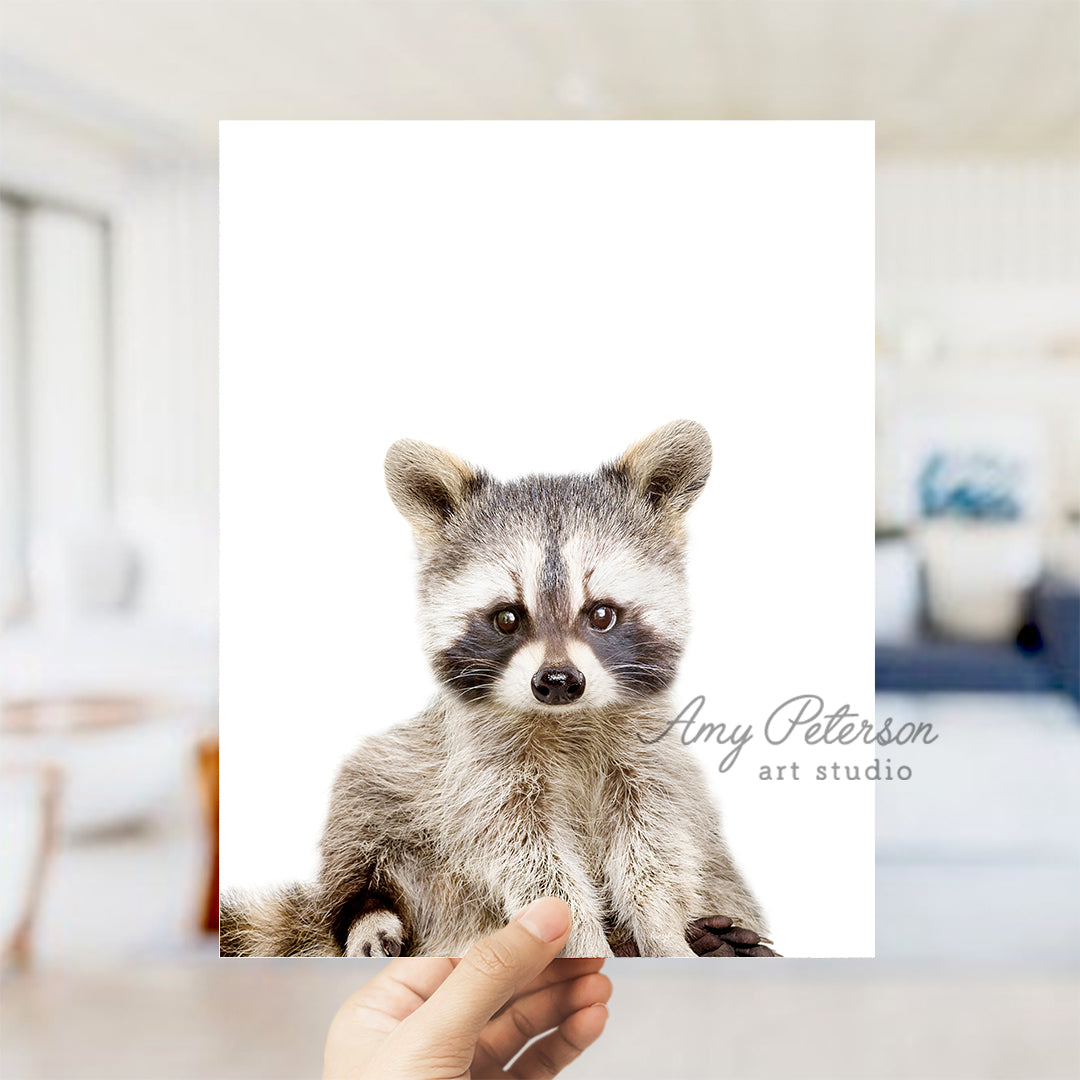 a person holding a picture of a raccoon