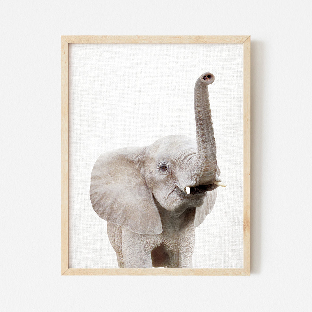 a picture of an elephant with a long tusk