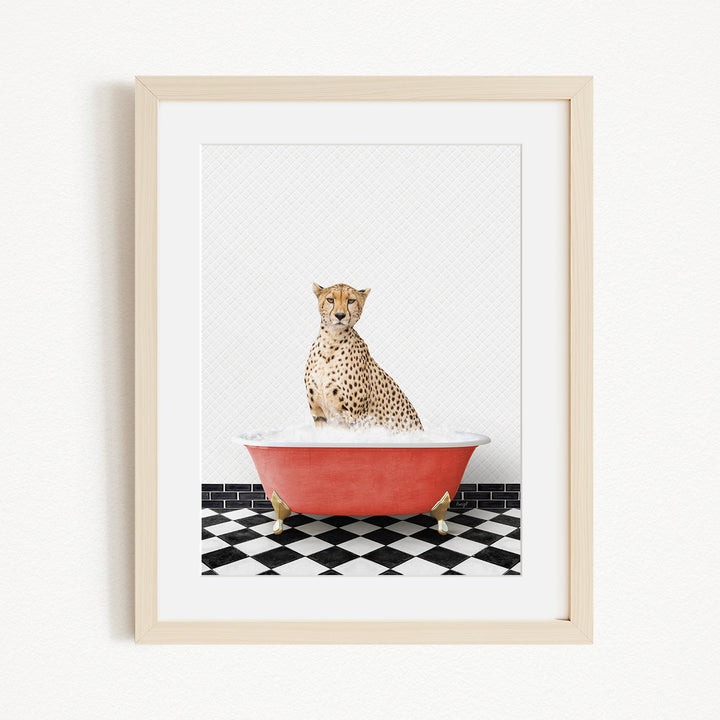 A cheetah sitting in a red bathtub filled with water, surrounded by a black and white checkered floor.