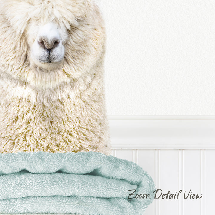 A fluffy white alpaca with its eyes closed, resting its head on a light blue towel.