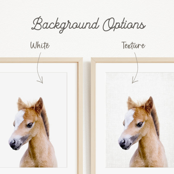 a close-up of a horse's head, with a focus on its eyes and the expression on its face.