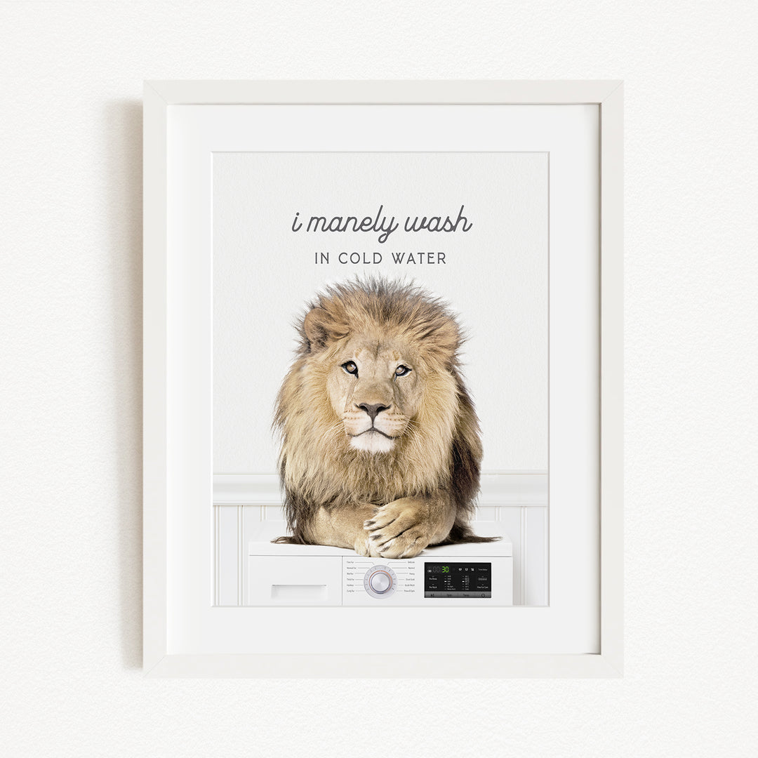 A framed image of a lion sitting on top of a washing machine, with the text "I manly wash in cold water" above the image.