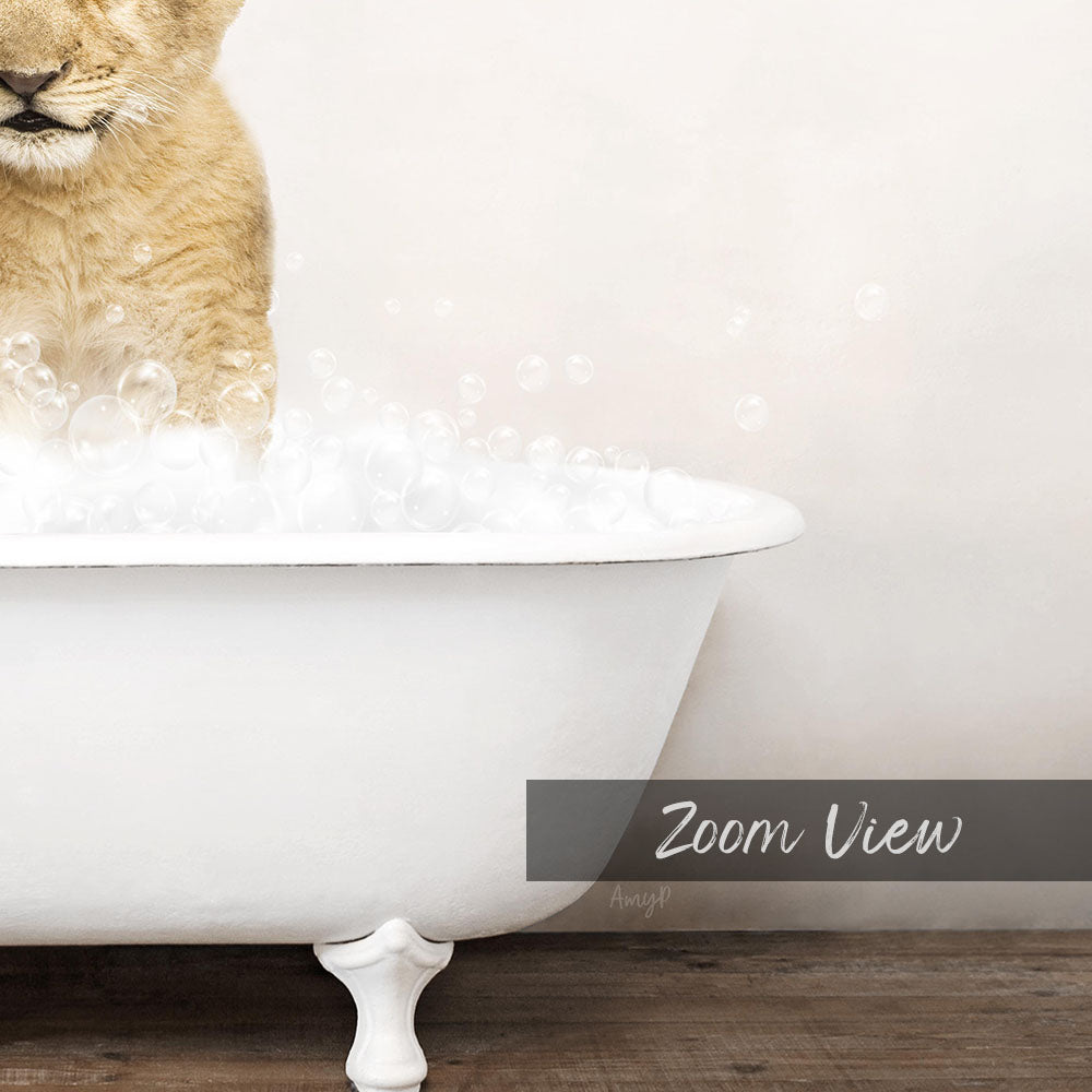 A small cat sitting in a white bathtub filled with bubbles, with the text "Zoom View" below the image.