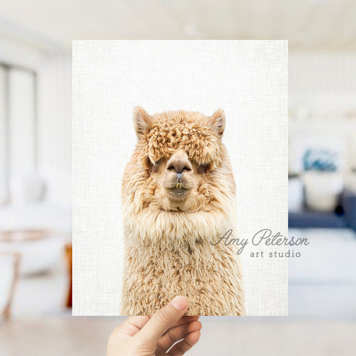 a person holding up a card with a picture of a llama